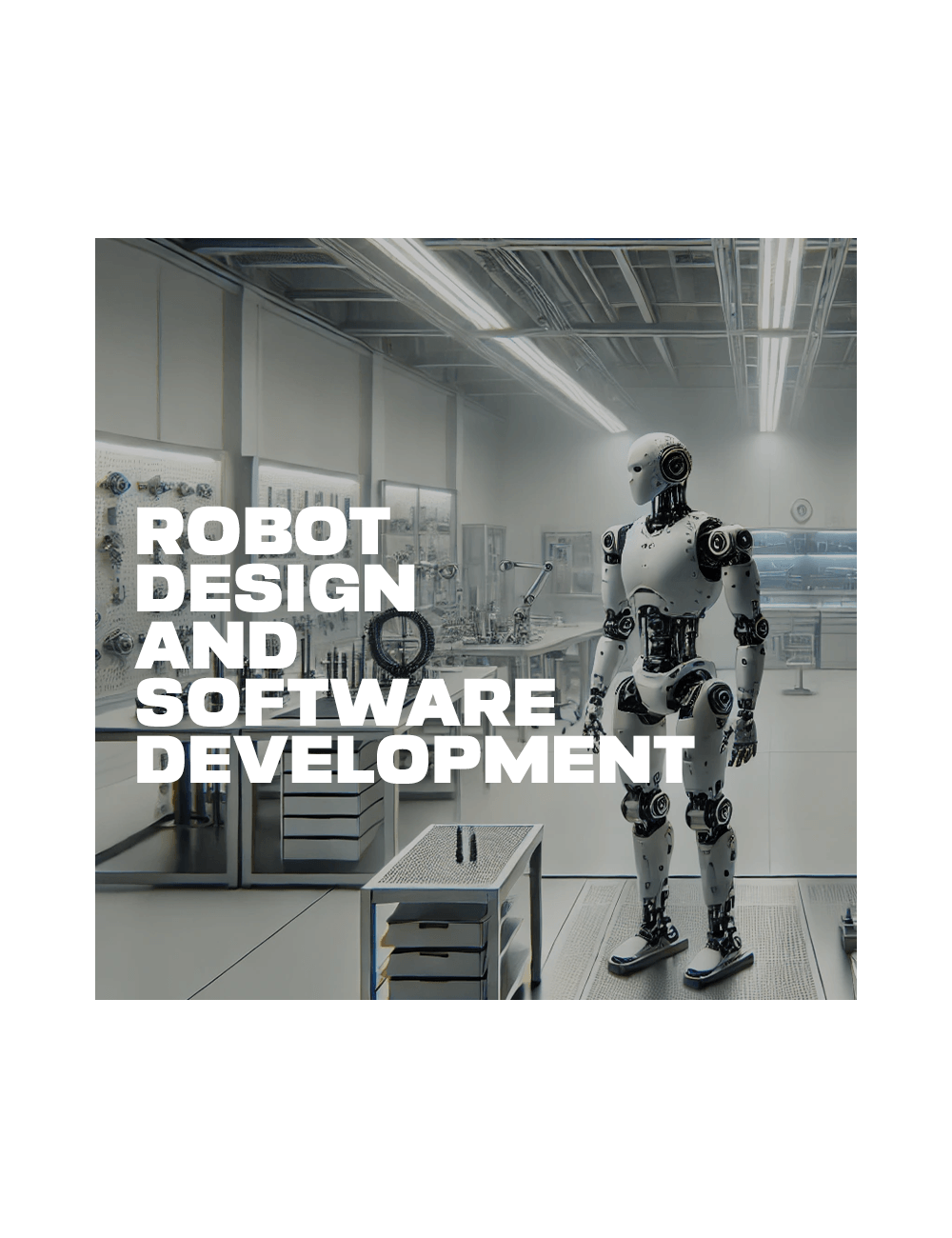 Robot Design and Software Development