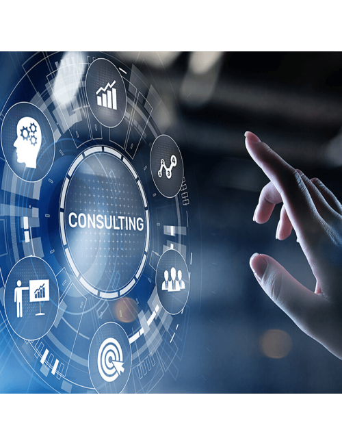 Expert Consulting